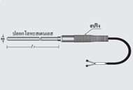 อาร์ทีดี RTD Sensor รุ่น T_S/101