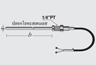 อาร์ทีดี RTD Sensor รุ่น T_S/102