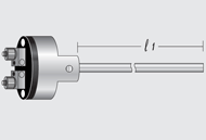 อาร์ทีดี RTD Sensor รุ่น T_S/118