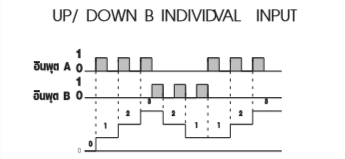 UP/DOWN B INDIVIDVAL INPUT